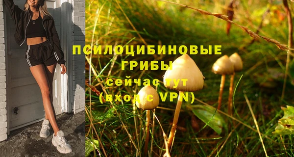 ECSTASY Алексин