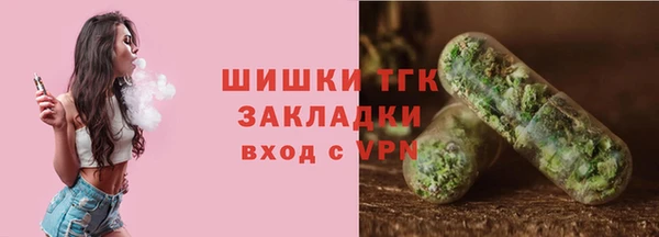 дмт Алзамай