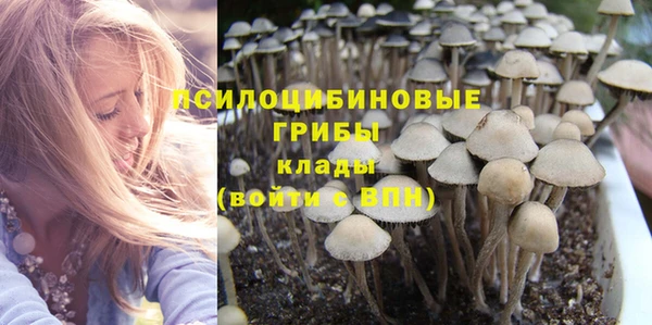 дмт Алзамай