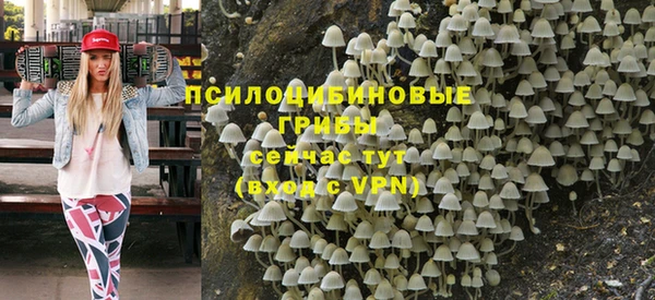 хмурый Алексеевка