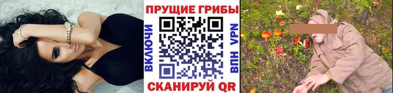 Галлюциногенные грибы Psilocybe  Николаевск 