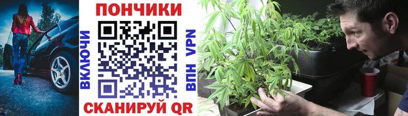 blacksprut ссылка  Николаевск  Канабис план  купить наркоту 